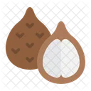 Nut Whole Half Icon