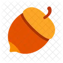 Nut Food Fruit Icon