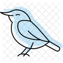 Nuthatch Bird Tree Icon