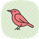 Nuthatch Bird Tree Icon