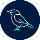 Nuthatch Bird Tree Icon