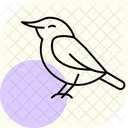 Nuthatch Bird Tree Icon