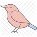 Nuthatch Bird Tree Icon