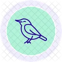 Nuthatch Bird Tree Icon