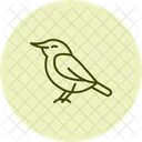 Nuthatch Bird Tree Icon