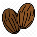 Nutmeg Spice Cooking Icon