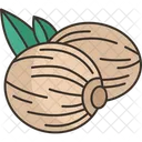 Nutmeg  Icon