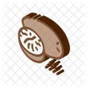 Nutmeg Nut Food Icon