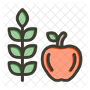 Fruit Sweet Food Container Icon