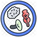 Nutrition plate  Icon