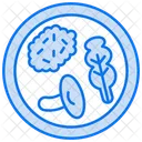 Nutrition Plate Diet Plan Meal Planning Icon