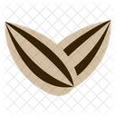 Nutritious Snack Source Of Healthy Fats Roasted Seeds Icon