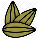 Nutritious Snack Pepitas Roasted Seeds Icon