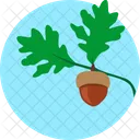 Nuts Grow Plant Icon