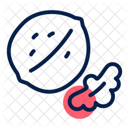 Nuts Icon