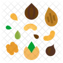 Nuts Seeds Hazelnut Icon