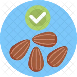 Nuts  Icon