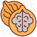 Nuts Dry Fruit Walnut Icon