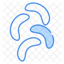 Nuts Icon