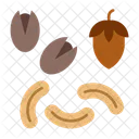 Nuts Food Indian Icon