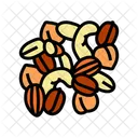 Nuts Snack Food Icon
