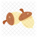 Nuts  Icon