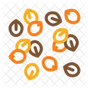 Nuts Seeds  Icon