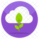 Ecologia de nuvens  Icon