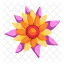 Nymphaea Capensis  Icon