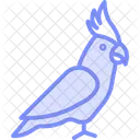 Nymphensittich Haustier Vogel Symbol