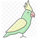 Nymphensittich Haustier Vogel Symbol