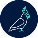 Nymphensittich Haustier Vogel Symbol