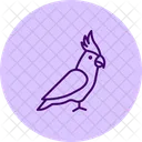 Nymphensittich Haustier Vogel Symbol