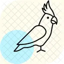 Nymphensittich Haustier Vogel Symbol