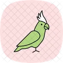 Nymphensittich Haustier Vogel Symbol