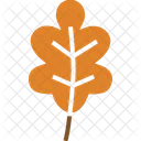Oak Leaf Leaves Icon