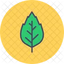 Oak Birch Nature Icon