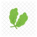 Oak Leaves Salad Icon