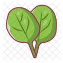 Oak Salad Leaf Icon