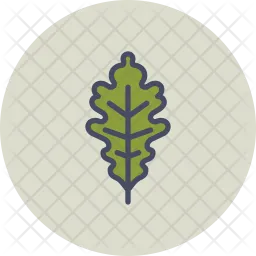 Oak  Icon