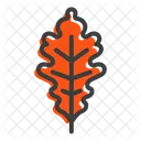 Oak Nature Leaf Icon
