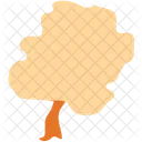 Generic Tree Oak Icon