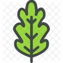 Oak Leaf Nature Icon