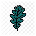 Oak Tree Leaf Icon