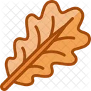 Oak  Icon