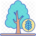 Oak Nature Acorn Icon