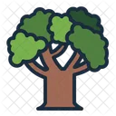 Oak Tree Botanical Icon