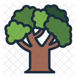 Oak  Icon