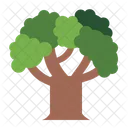 Oak Tree Botanical Icon