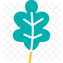 Oak Leaf Leaves Icon